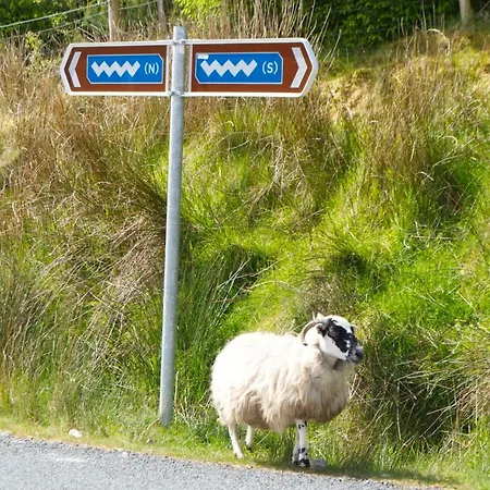 Oda ve Kahvaltı Brook