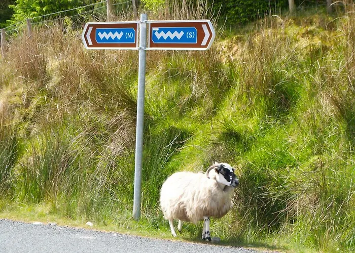 לינה וארוחת בוקר Brook