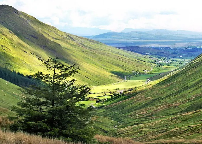 Brook * גלנטיס